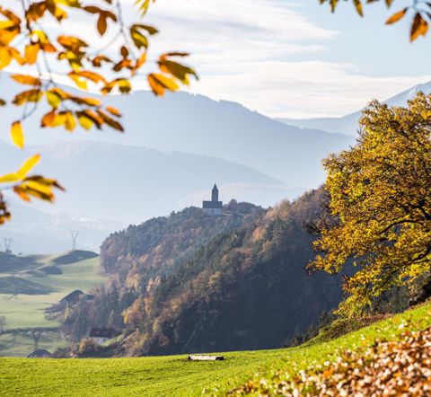 Sul Sentiero del Castagno